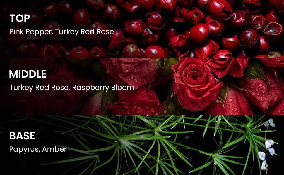 British Rose by RZLER | Classic Rose Perfume for Women With Pink Pepper, Raspberry Blossom & Amber – A Timeless, Elegant Floral Fragrance